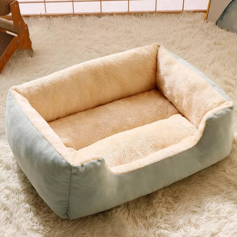 Cozy Pet Haven 🐾 – Conforto e Estilo para Gatos e Cães 🛏️