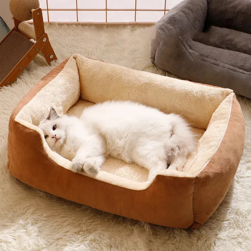 Cozy Pet Haven 🐾 – Conforto e Estilo para Gatos e Cães 🛏️