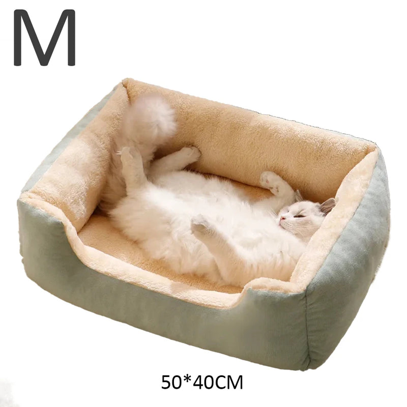 Cozy Pet Haven 🐾 – Conforto e Estilo para Gatos e Cães 🛏️